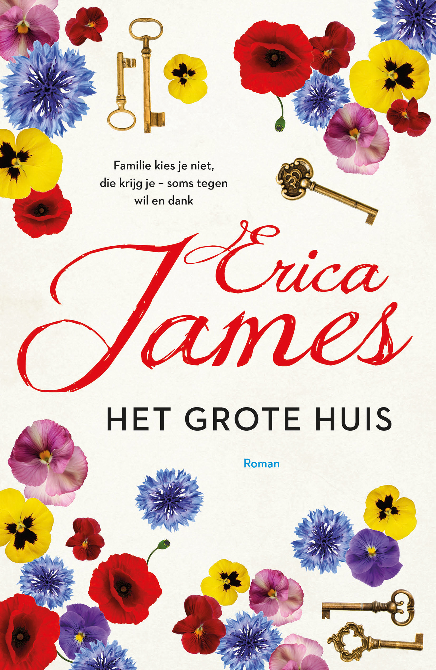 James Het Grote Huis