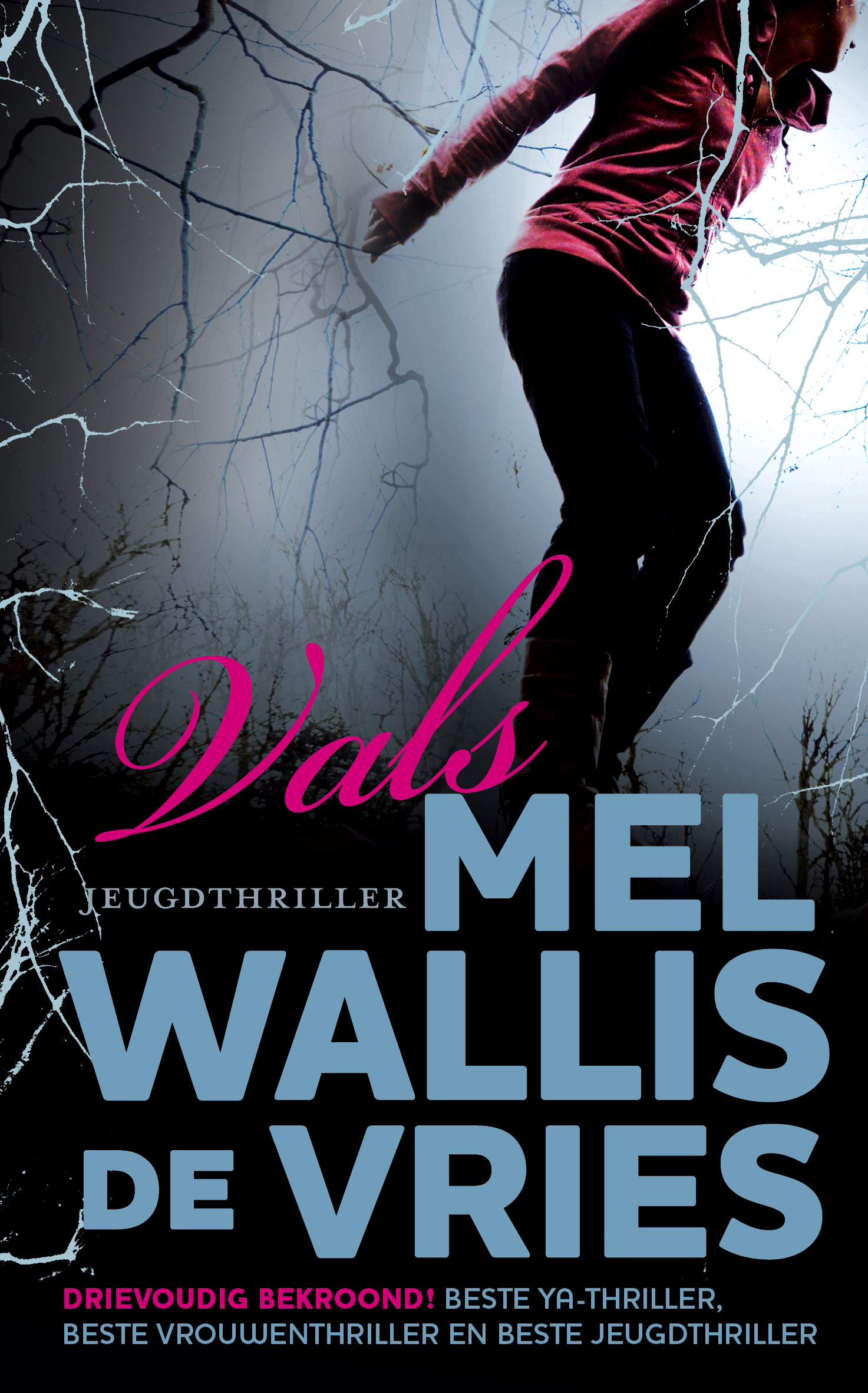 Wallis de Vries_Vals def nieuw 2015