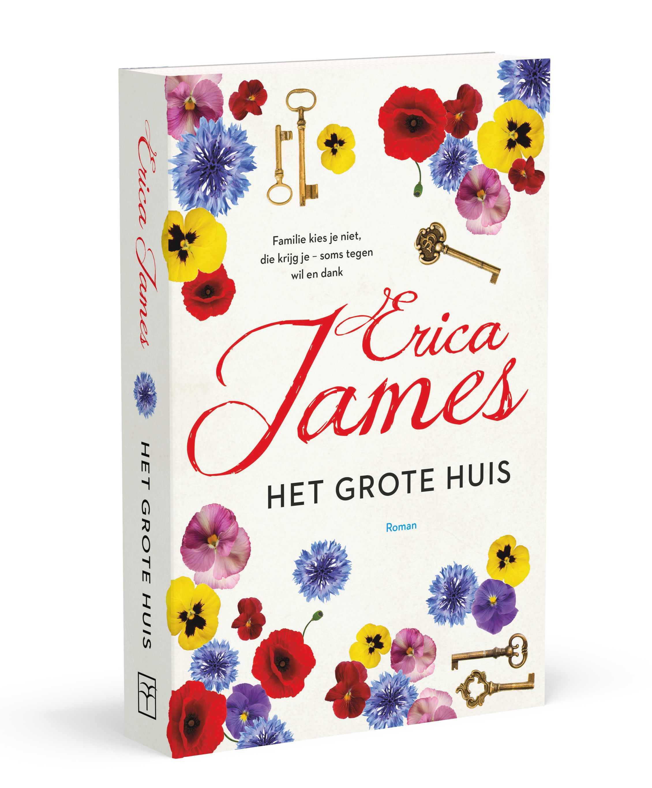 Het grote huis - Erica James