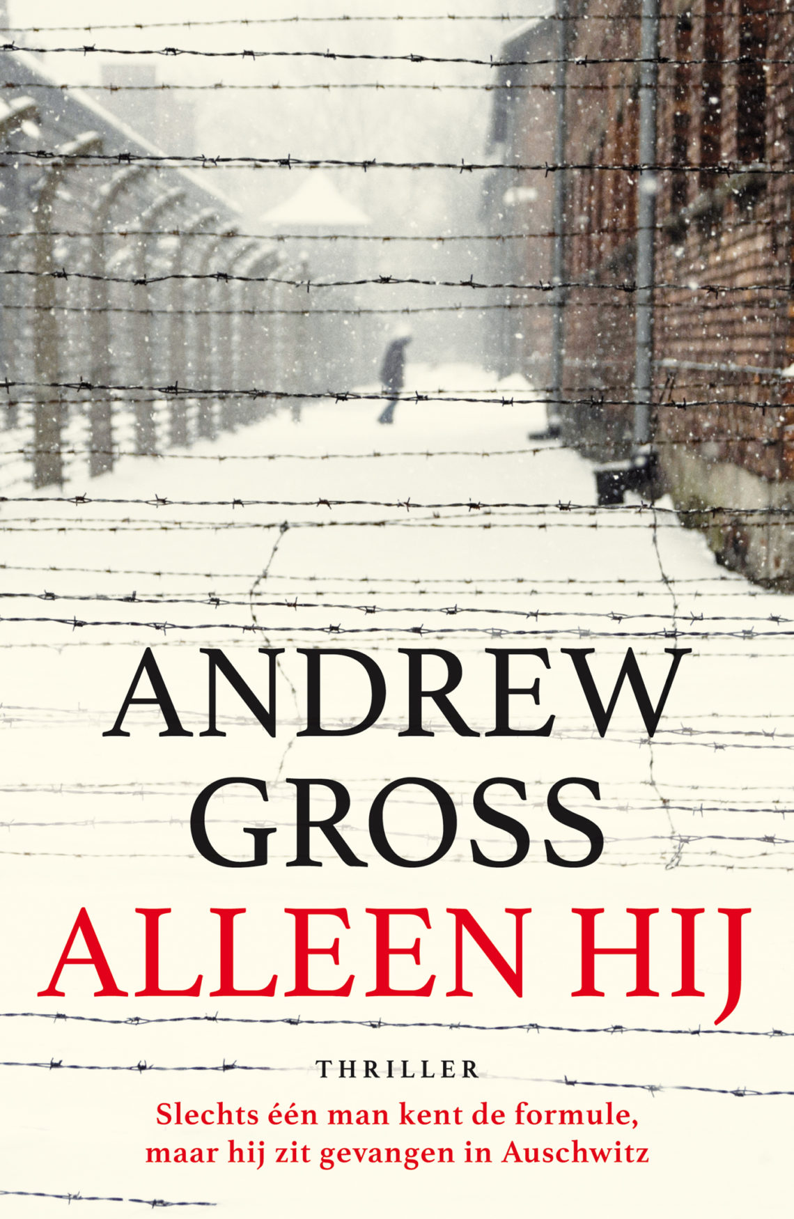 Oorlogsboeken - Alleen hij - Andrew Gross