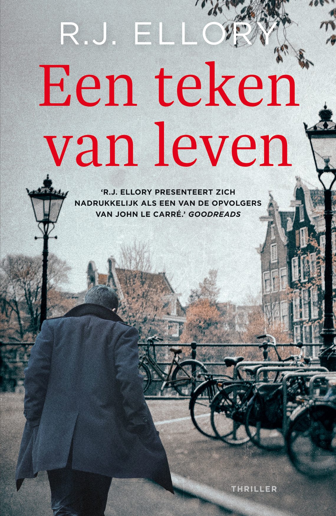 Een teken van leven - R.J. Ellory