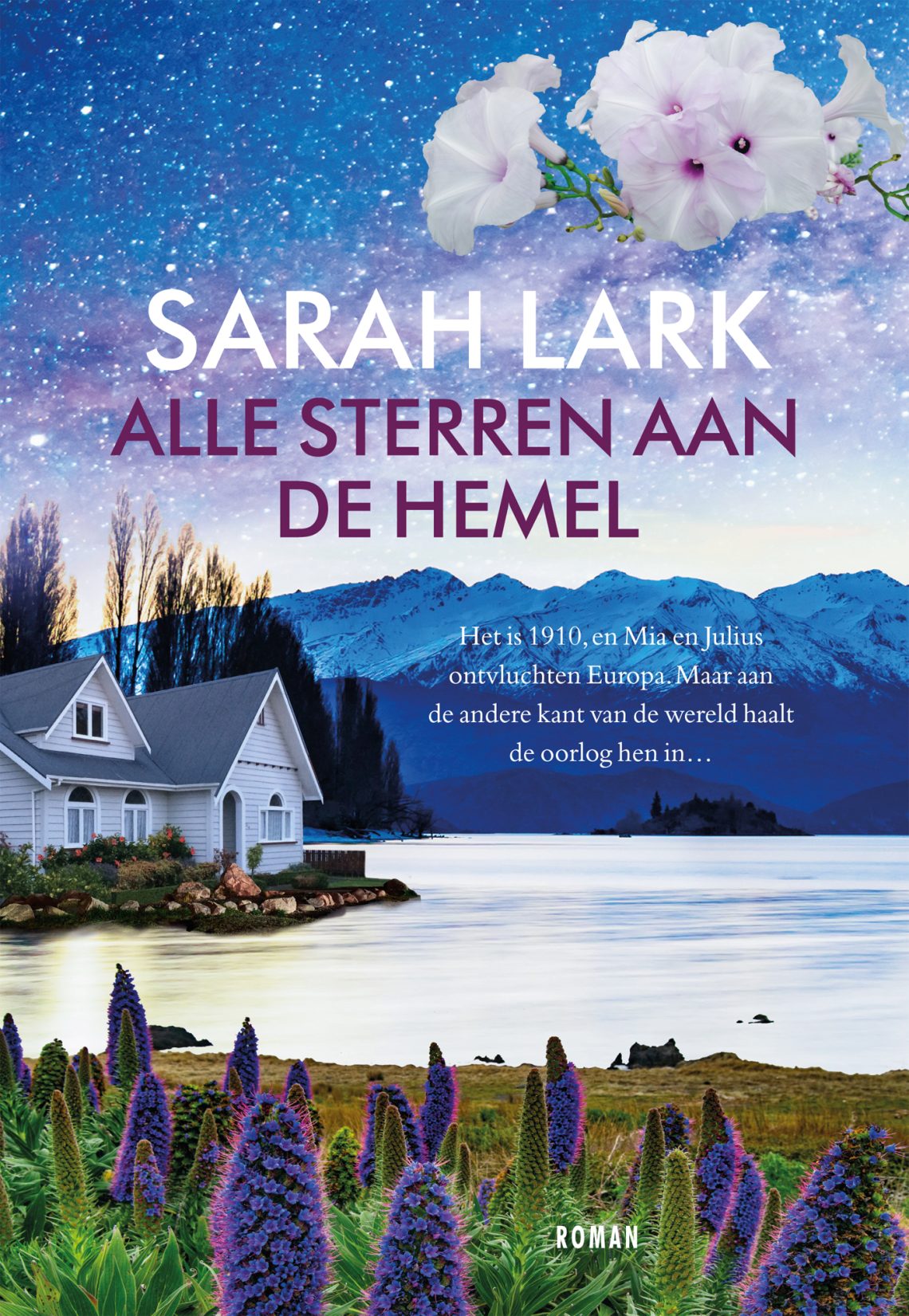 Alle sterren aan de hemel - Sarah Lark