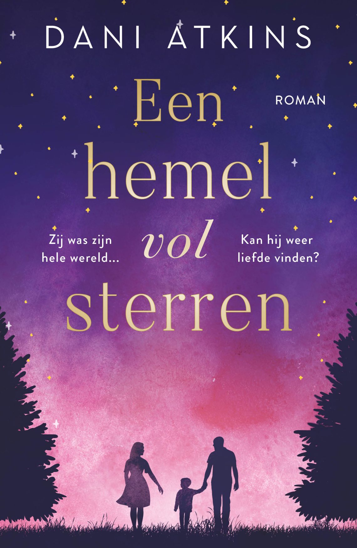 Omslag Een hemel vol sterren - Dani Atkins