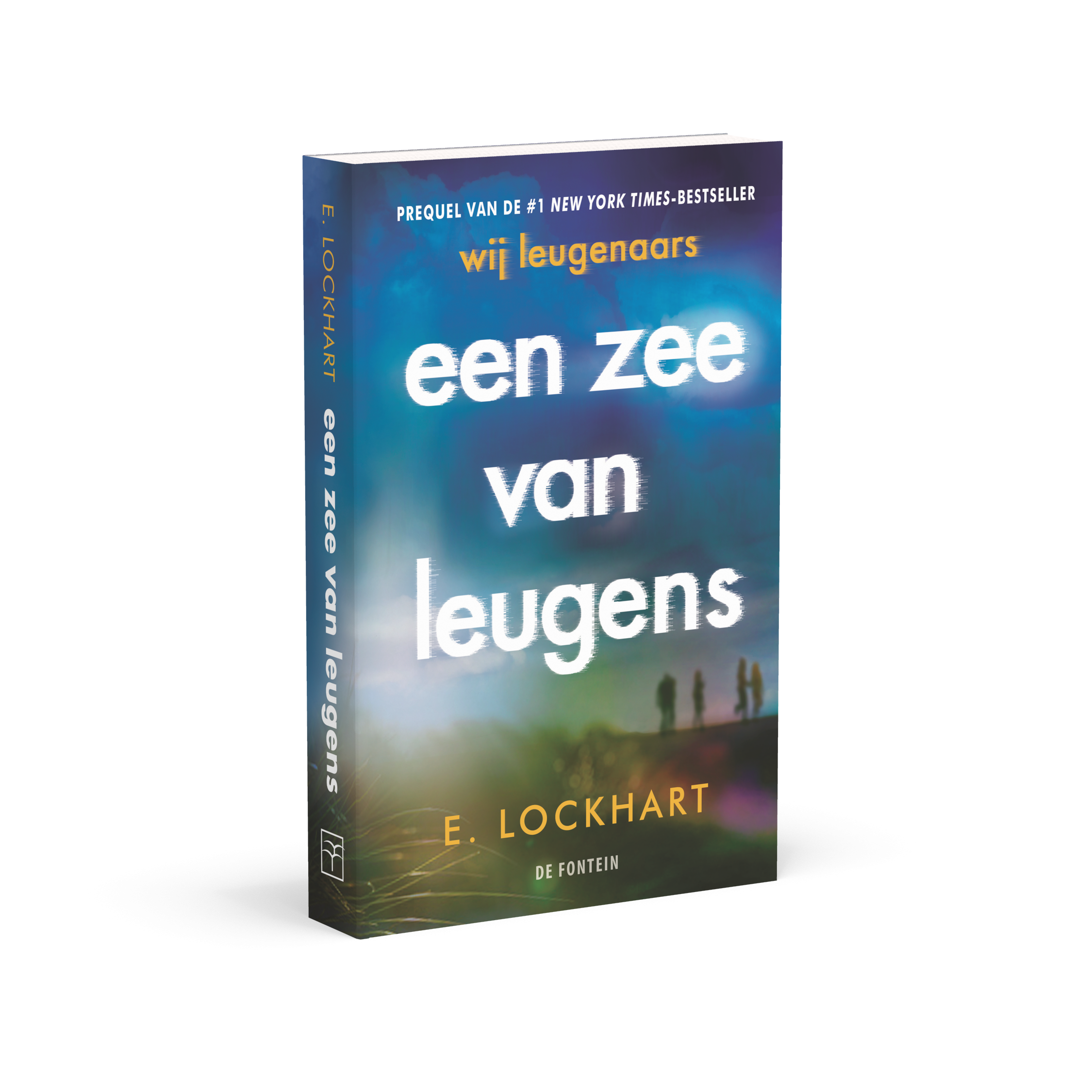 3D omslag Een zee van leugens - E. Lockhart