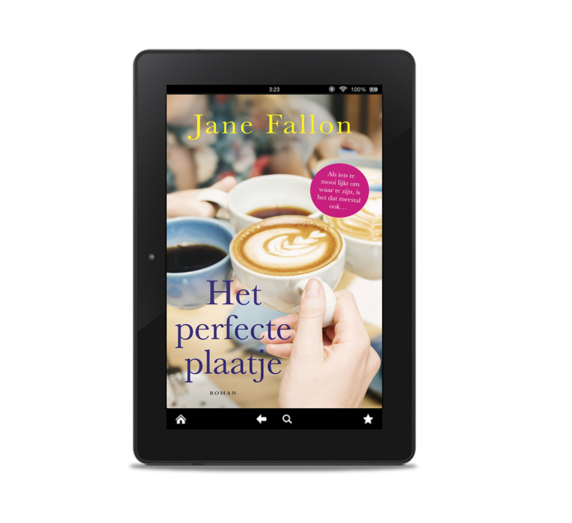 E-book Het perfecte plaatje