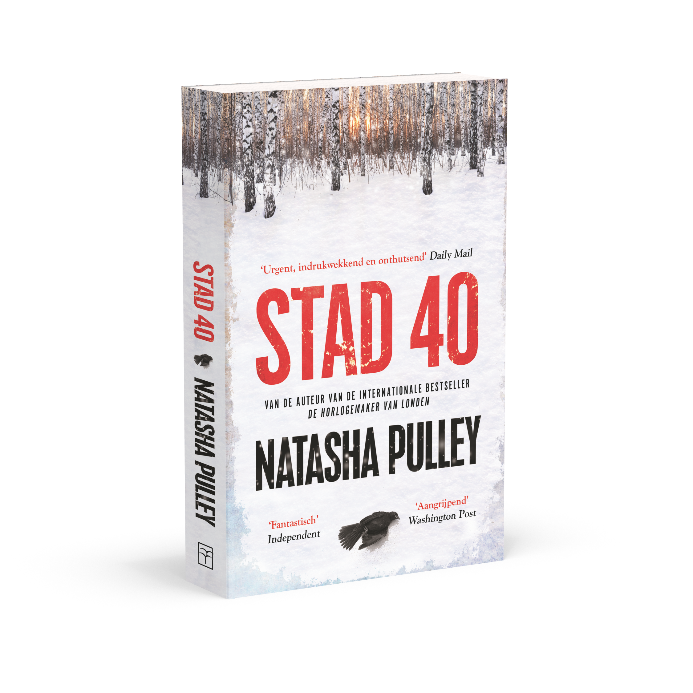 Stad 40 van Natasha Pulley coverfoto boek