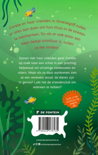 De groene schat - achterkant